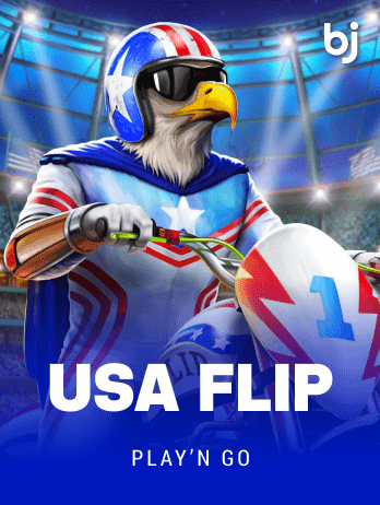 USA Flippng game icon