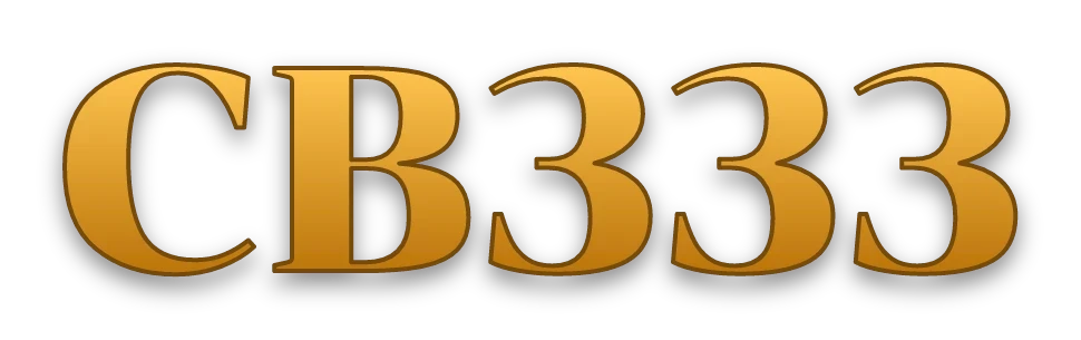 bdcb333.com Logo